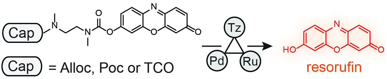 Comparison of bioorthogonal release reactions