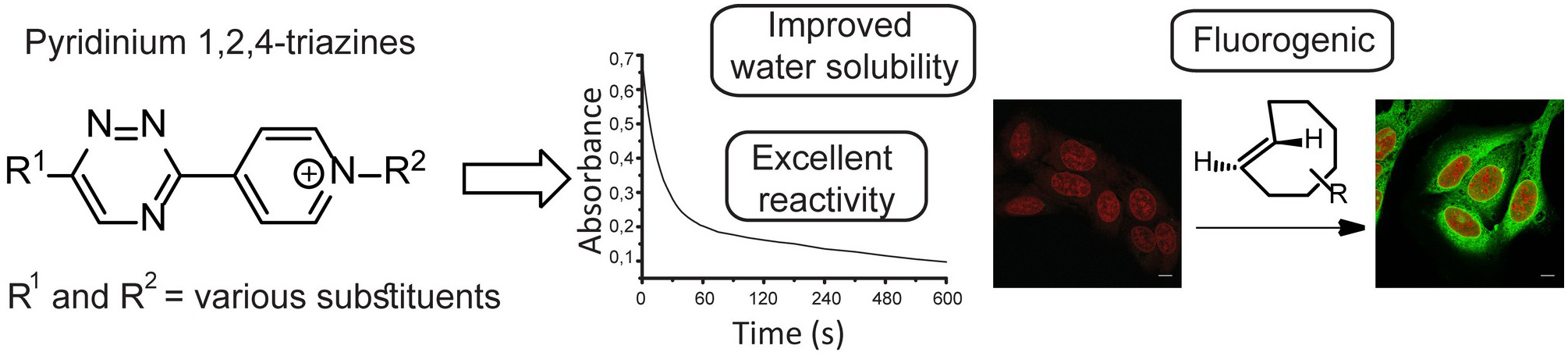 Bioorthogonal reagents with advanced properties