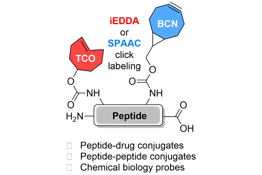 New paper from the group