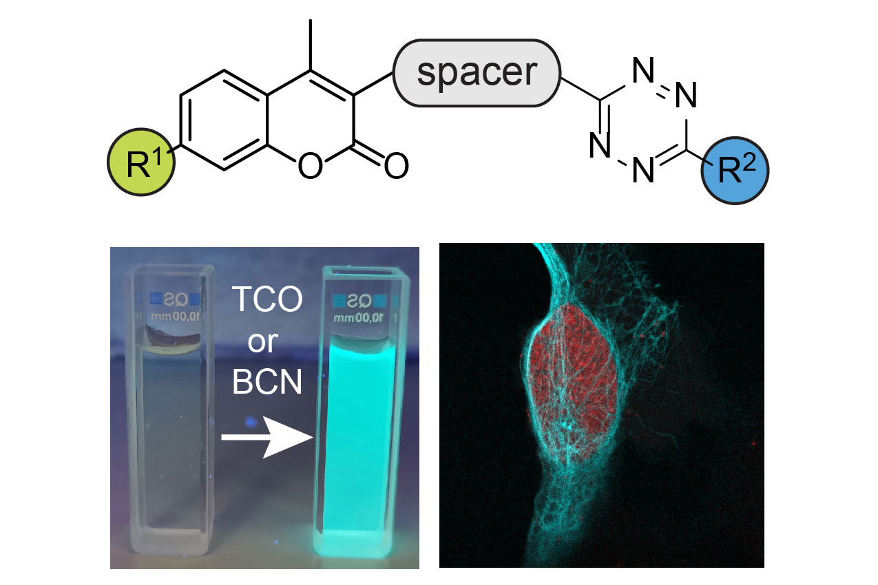 Our work was highlighted on ChemistryViews