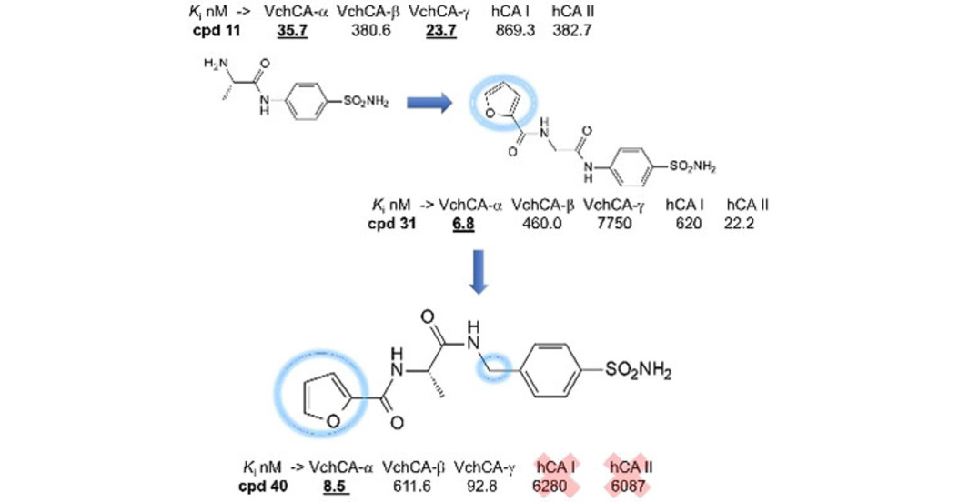 New paper in ChemMedChem