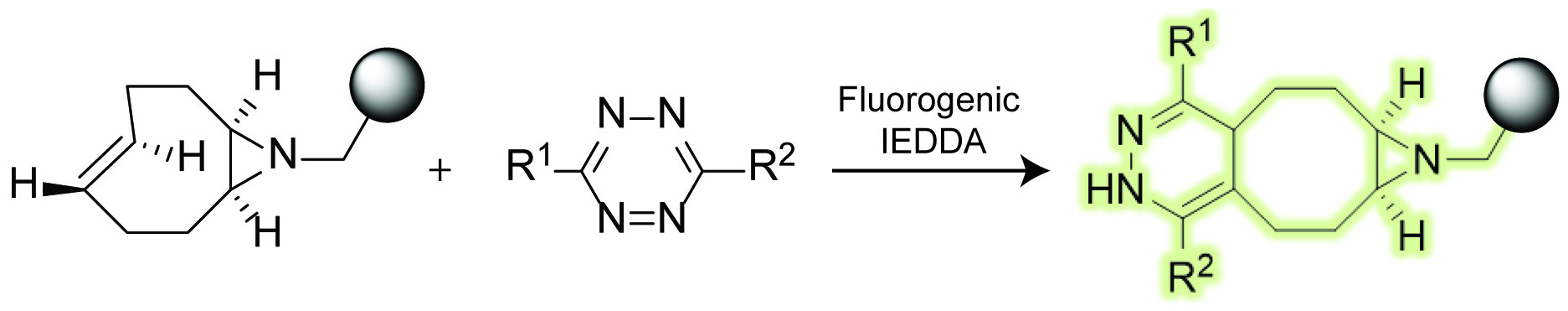 New fast-reacting and fluorogenic aza-TCOs